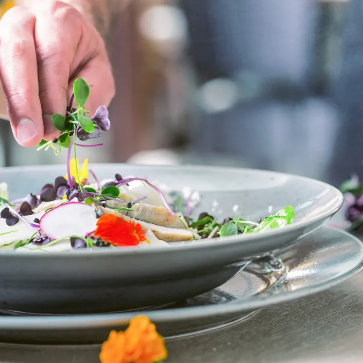 assiettes pour CHR indépendants