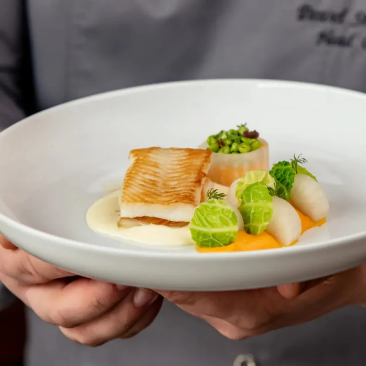 Assiette pour collectivités